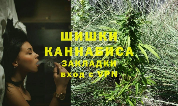 бутират Арсеньев