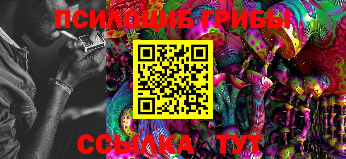 Псилоцибиновые грибы MAGIC MUSHROOMS Белово