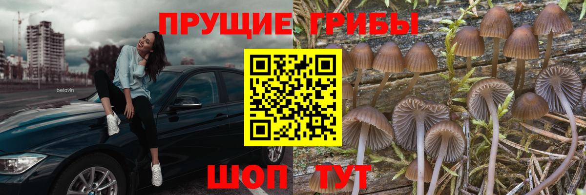 Белово  Псилоцибиновые грибы Magic Shrooms  Вход с VPN 